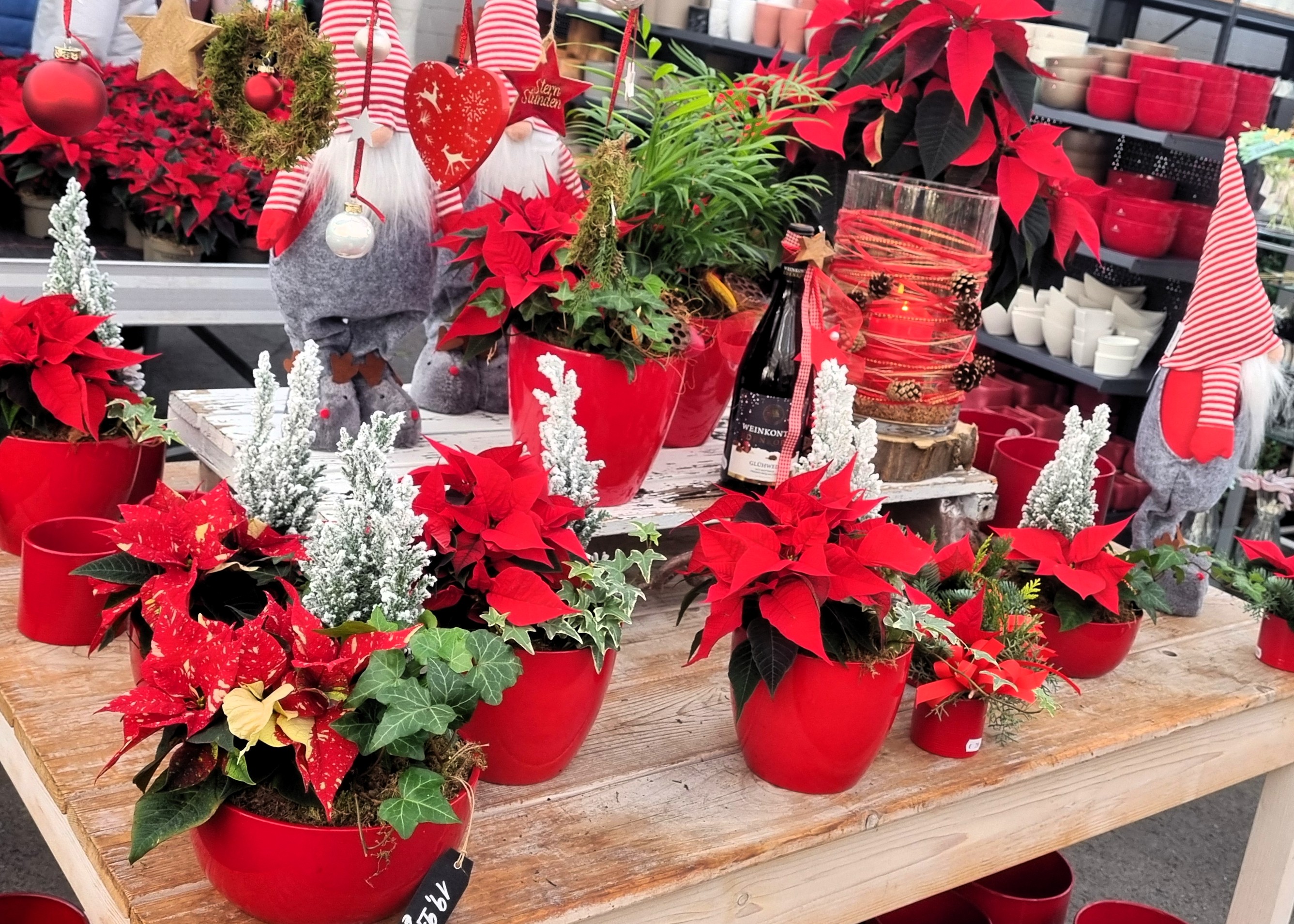 Monheimer Blumenmarkt